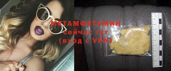 прущие грибы Новый Уренгой