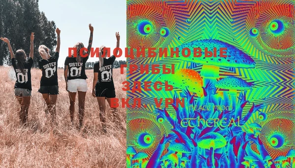 герыч Дмитриев