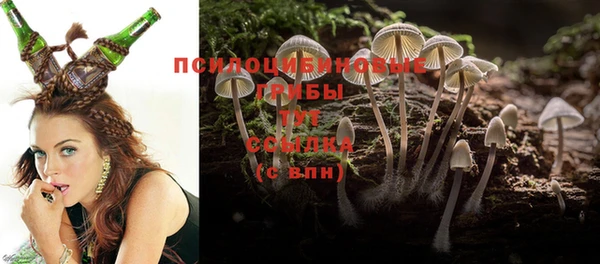 ешки Медвежьегорск