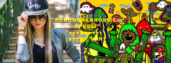 СК Долгопрудный